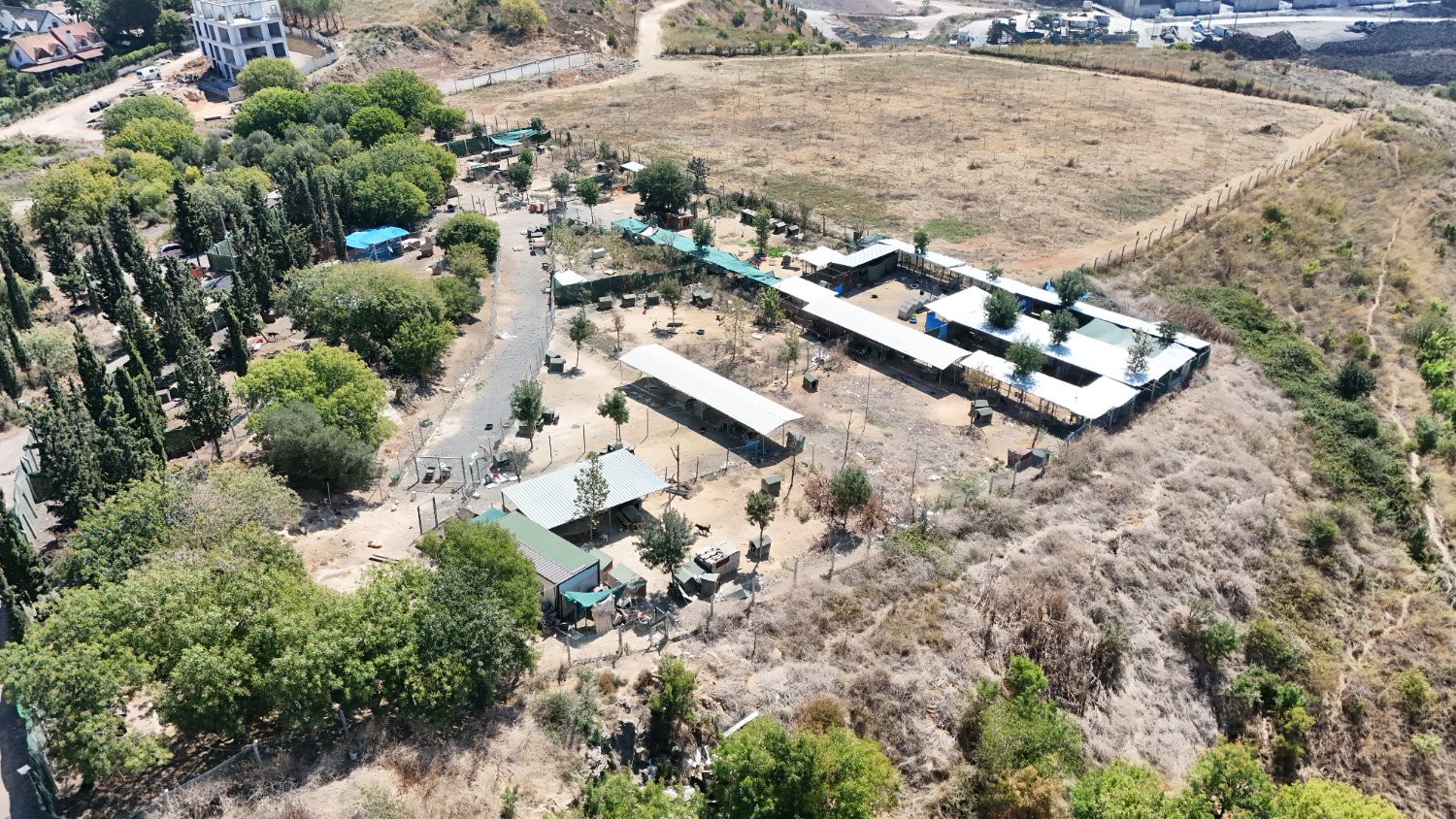 SOKAK HAYVANLARI YAŞAM ALANI