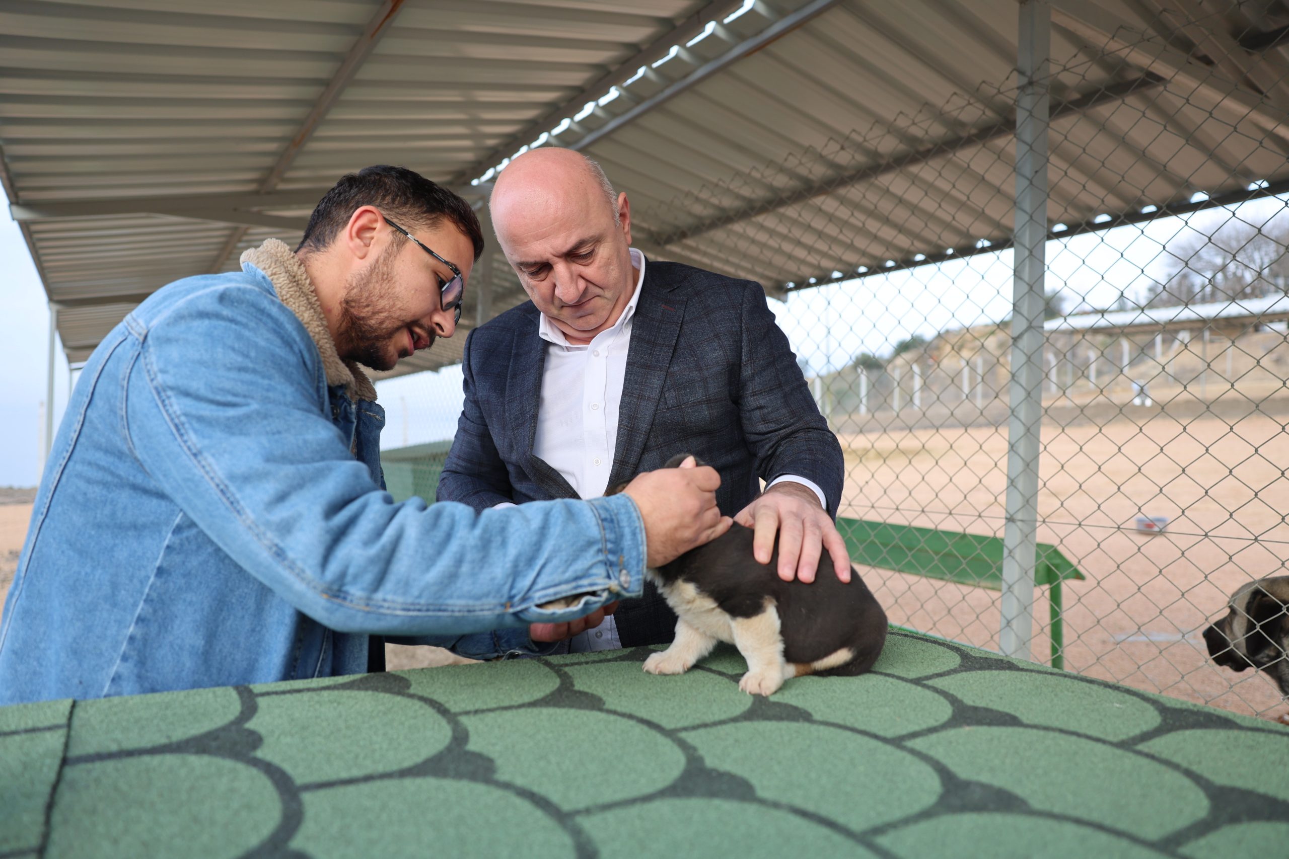 Sokak hayvanları Darıca’da güvenli bir barınağa kavuştu.